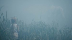 When The Trees Fall (2018)